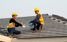 Best Roof Ventilation Installation  in Amelia, LA